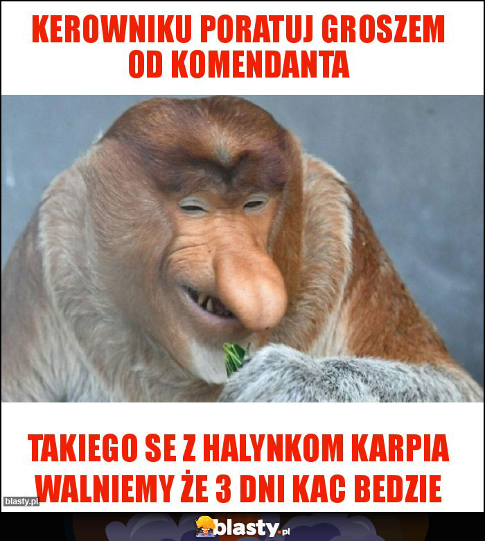 kerowniku poratuj groszem od komendanta kerowniku poratuj groszem od komendanta