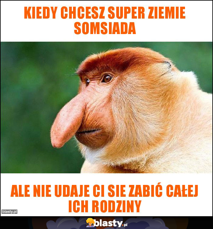 kiedy chcesz super ziemie somsiada kiedy chcesz super ziemie somsiada