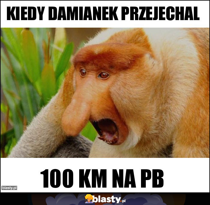 Kiedy damianek przejechal Kiedy damianek przejechal