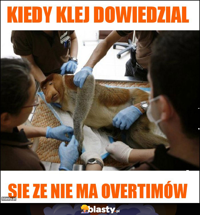 Kiedy klej dowiedzial Kiedy klej dowiedzial