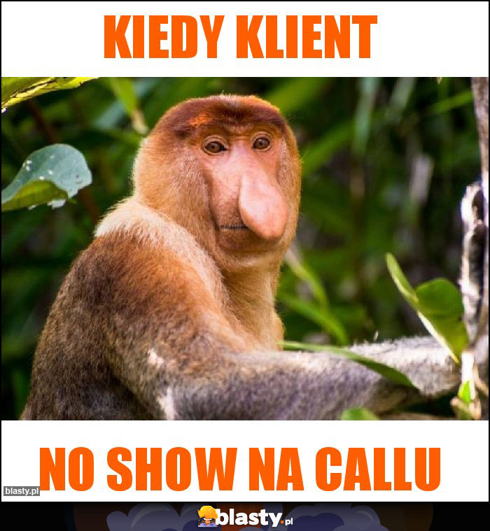 Kiedy klient Kiedy klient