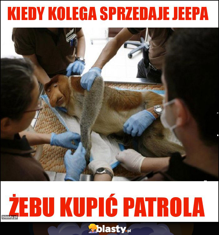 Kiedy kolega sprzedaje JEEPa Kiedy kolega sprzedaje JEEPa