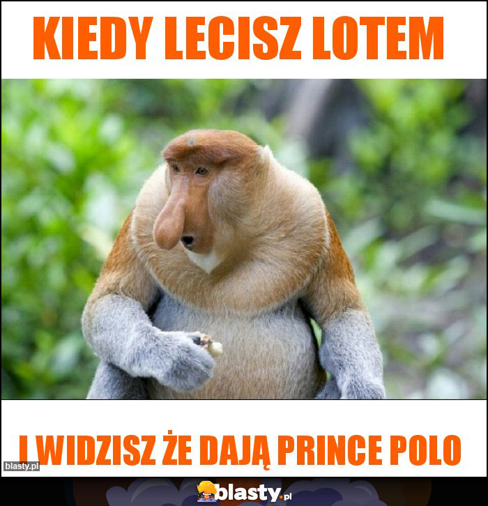 Kiedy lecisz LOTem Kiedy lecisz LOTem