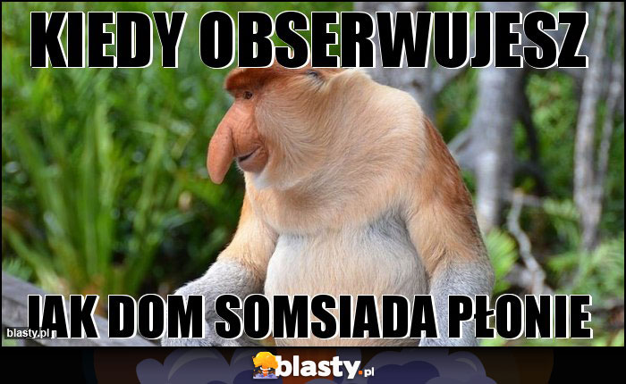 Kiedy obserwujesz Kiedy obserwujesz