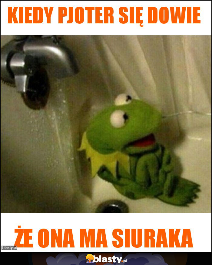 Kiedy Pjoter się dowie Kiedy Pjoter się dowie