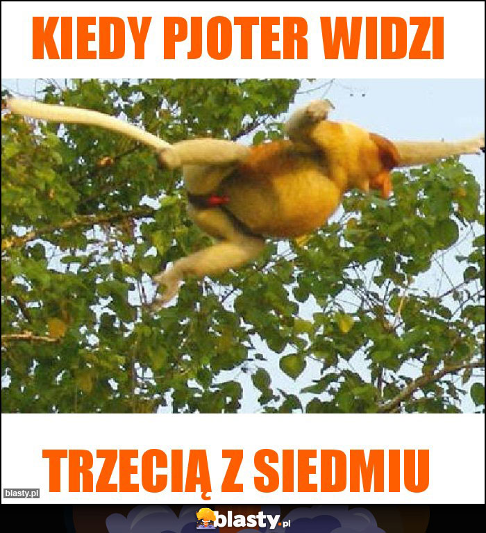 Kiedy pjoter widzi Kiedy pjoter widzi