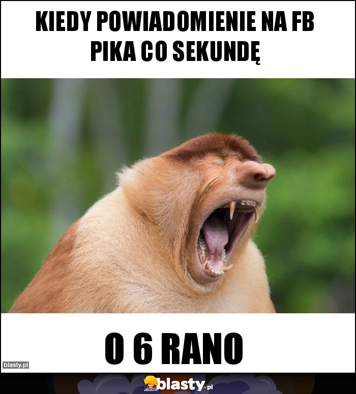 Kiedy powiadomienie na fb pika co sekundę Kiedy powiadomienie na fb pika co sekundę