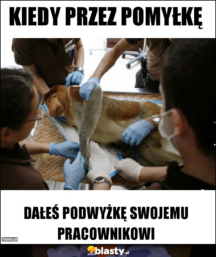 Kiedy przez pomyłkę Kiedy przez pomyłkę