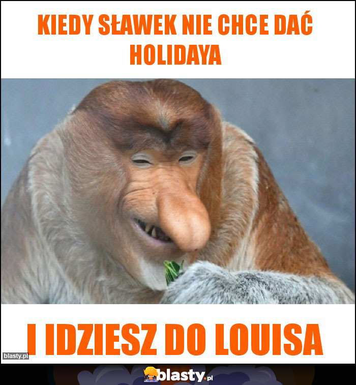 Kiedy Sławek nie chce dać holidaya Kiedy Sławek nie chce dać holidaya
