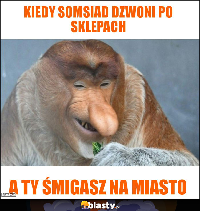 Kiedy somsiad dzwoni po sklepach Kiedy somsiad dzwoni po sklepach