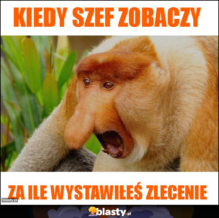Kiedy szef zobaczy