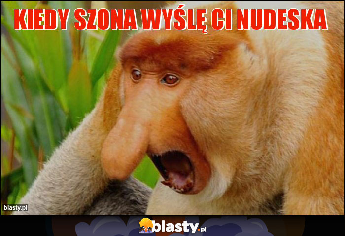 Kiedy szona wyślę Ci nudeska Kiedy szona wyślę Ci nudeska
