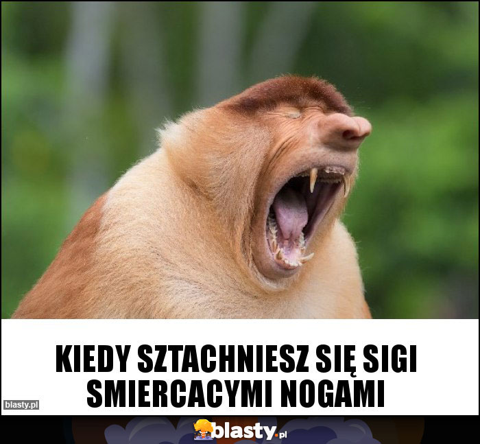 Kiedy sztachniesz się sigi smiercacymi nogami Kiedy sztachniesz się sigi smiercacymi nogami
