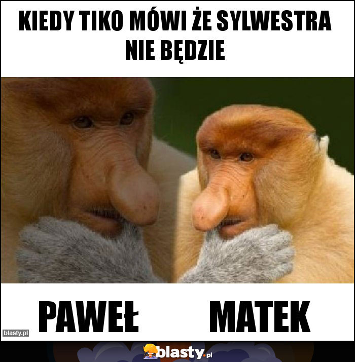 Kiedy Tiko mówi że sylwestra nie będzie Kiedy Tiko mówi że sylwestra nie będzie
