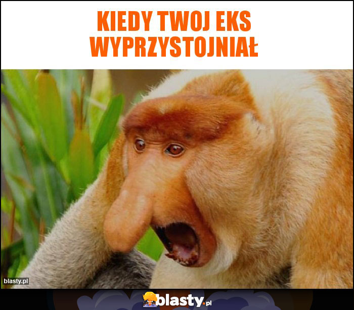 Kiedy twoj eks wyprzystojniał Kiedy twoj eks wyprzystojniał
