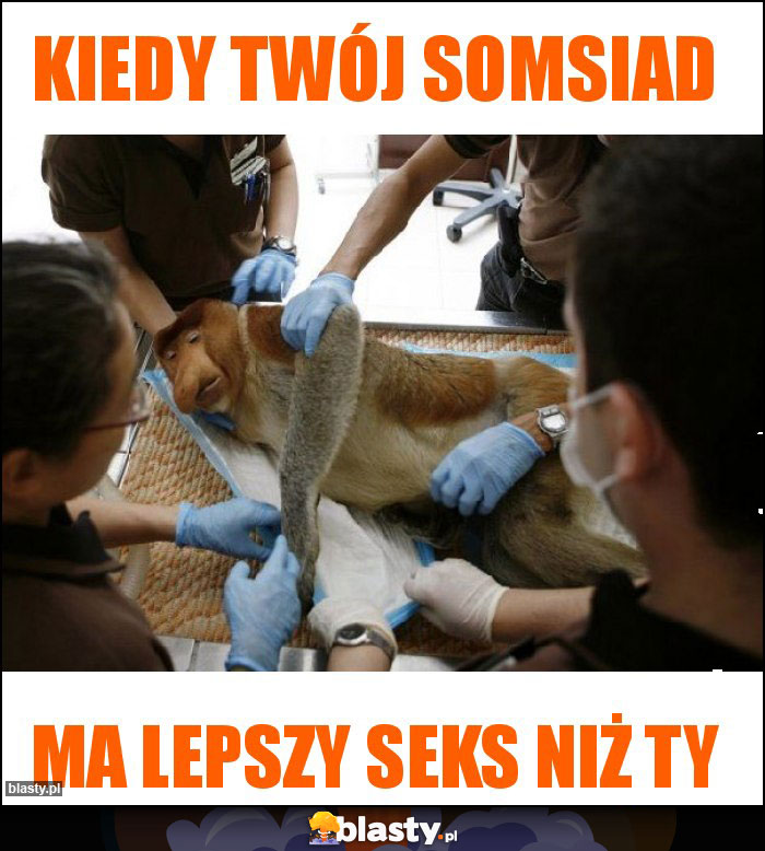 Kiedy twój somsiad Kiedy twój somsiad