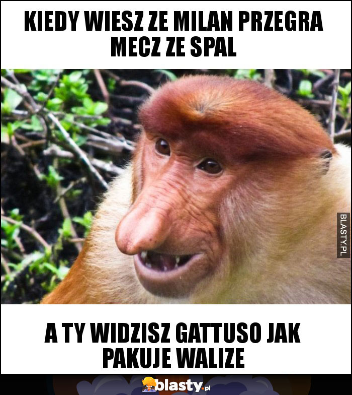KIEDY WIESZ ZE MILAN PRZEGRA MECZ ZE SPAL KIEDY WIESZ ZE MILAN PRZEGRA MECZ ZE SPAL