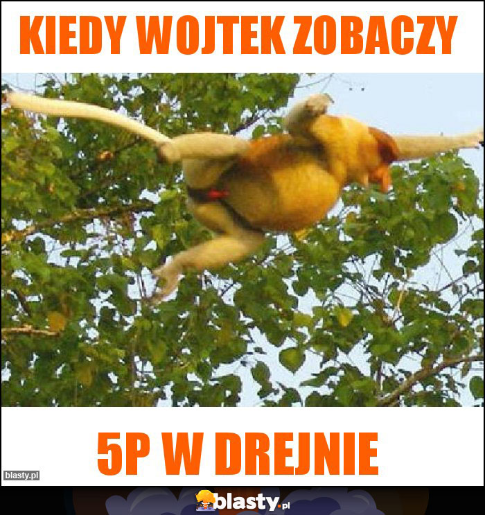 Kiedy Wojtek zobaczy Kiedy Wojtek zobaczy