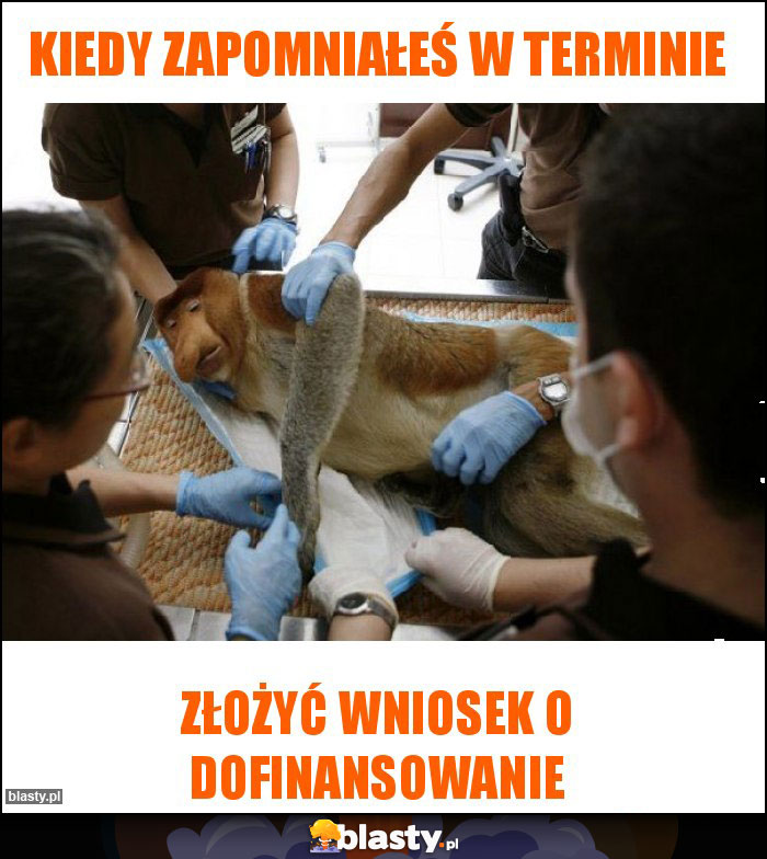 Kiedy zapomniałeś w terminie Kiedy zapomniałeś w terminie