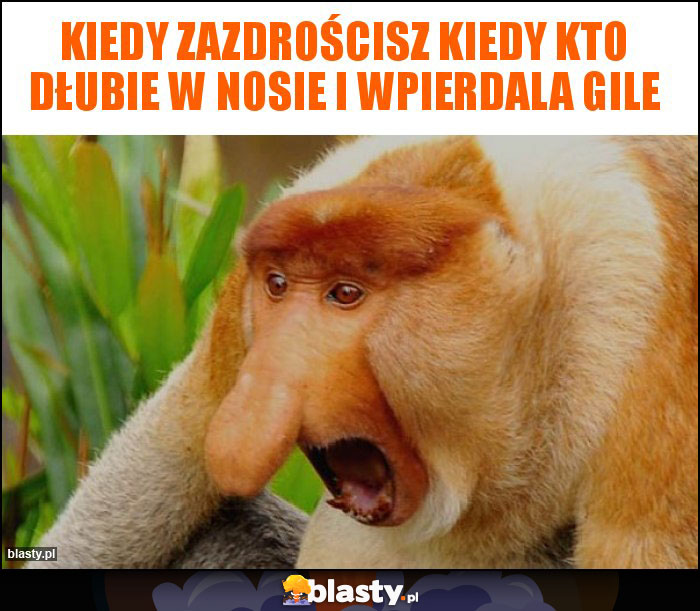 Kiedy zazdrościsz kiedy kto dłubie w nosie i wpierdala gile Kiedy zazdrościsz kiedy kto dłubie w nosie i wpierdala gile