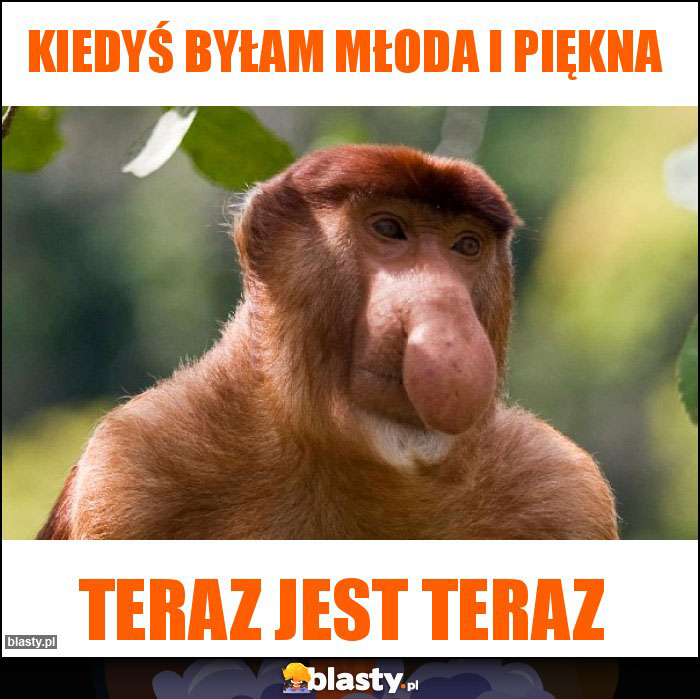 kiedyś byłam młoda i piękna kiedyś byłam młoda i piękna
