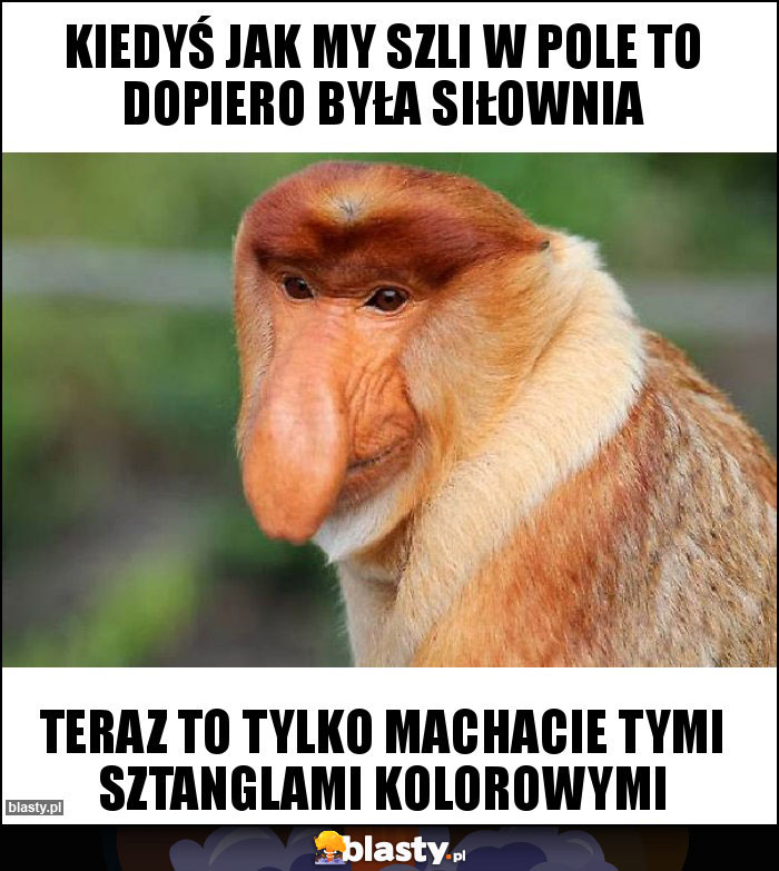 Kiedyś jak my szli w pole to dopiero była siłownia Kiedyś jak my szli w pole to dopiero była siłownia