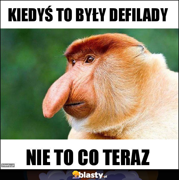 KIEDYŚ TO BYŁY DEFILADY KIEDYŚ TO BYŁY DEFILADY