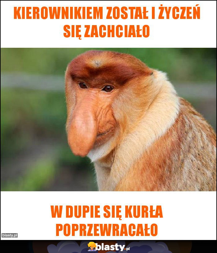 kierownikiem został i życzeń się zachciało kierownikiem został i życzeń się zachciało