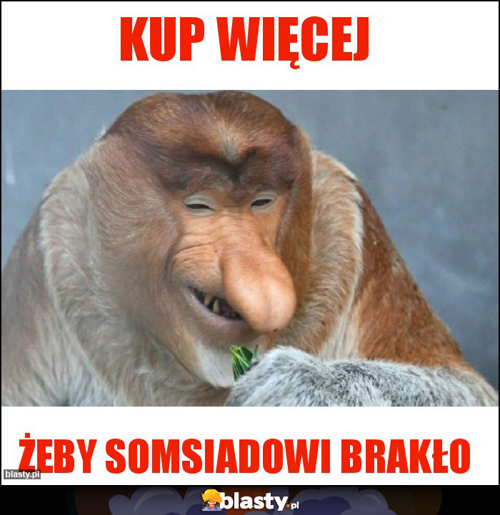 Kup więcej Kup więcej