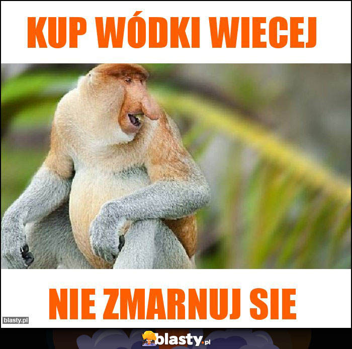 Kup wódki wiecej Kup wódki wiecej