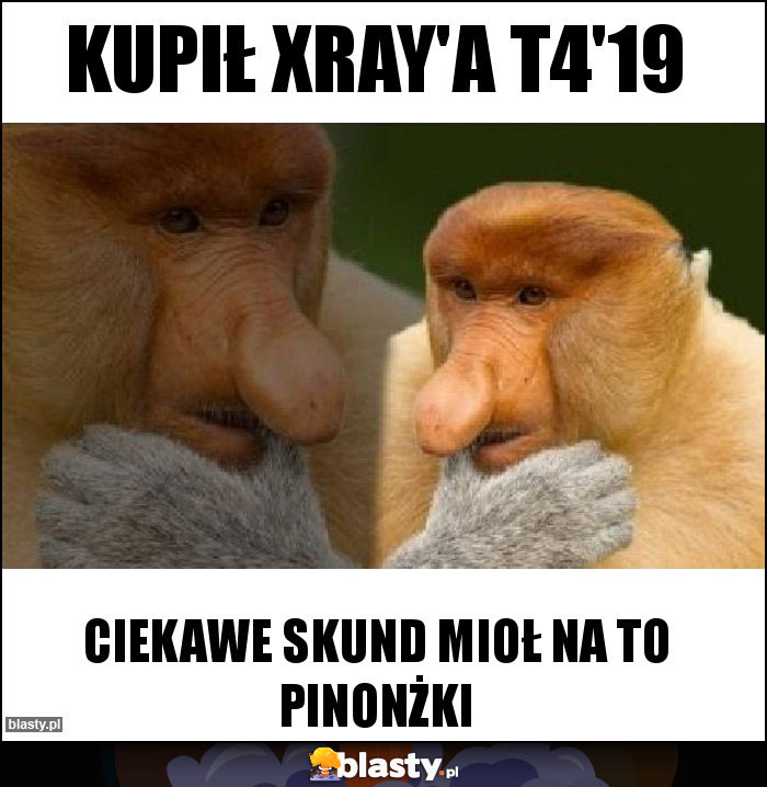 Kupił Xray'a T4'19 Kupił Xray'a T4'19