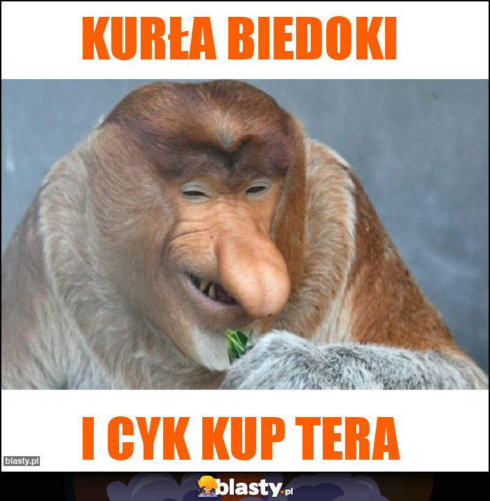 Kurła biedoki Kurła biedoki