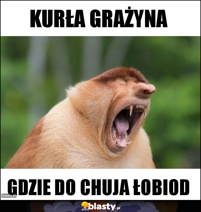 Kurła Grażyna Kurła Grażyna
