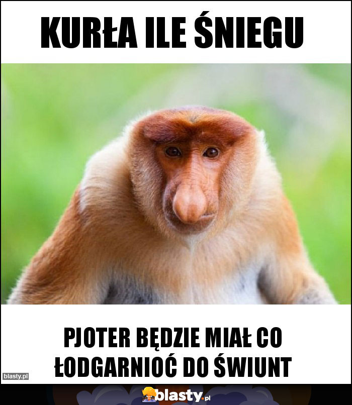 kurła ile śniegu kurła ile śniegu
