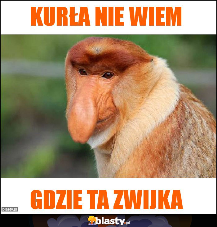 KURŁA NIE WIEM KURŁA NIE WIEM