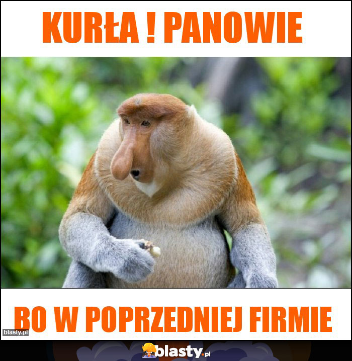 Kurła ! Panowie Kurła ! Panowie