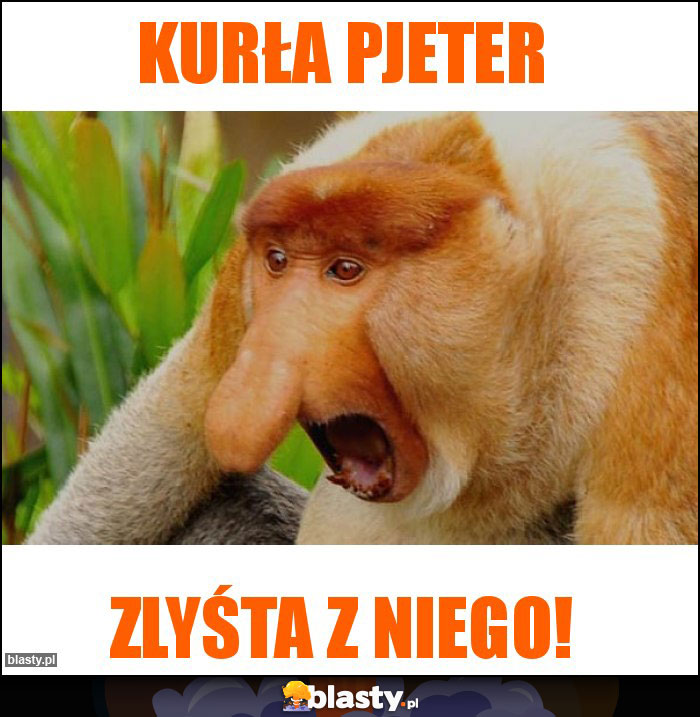 Kurła pjeter Kurła pjeter