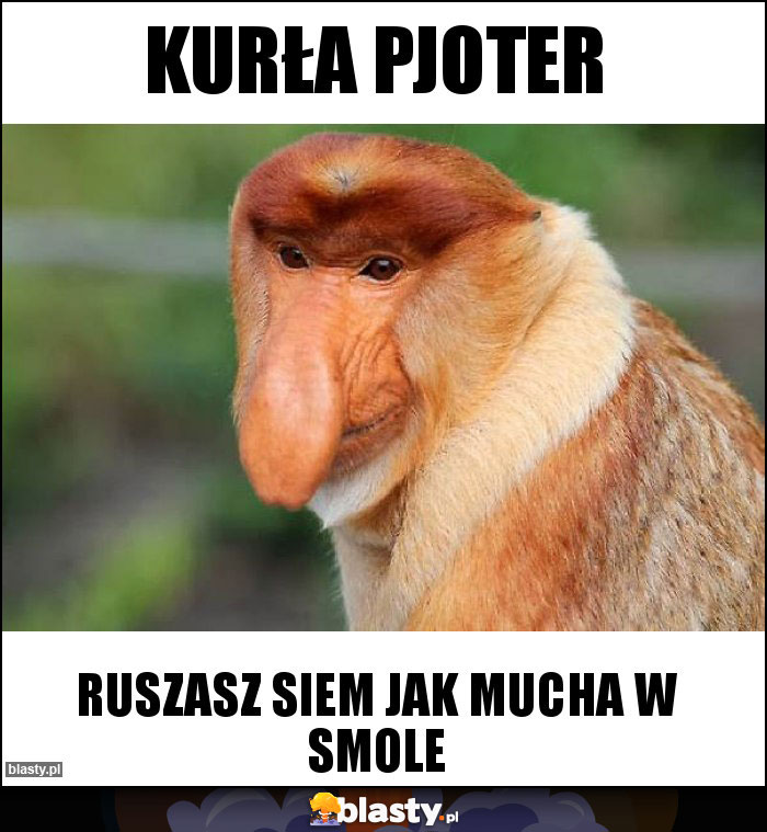 Kurła Pjoter Kurła Pjoter