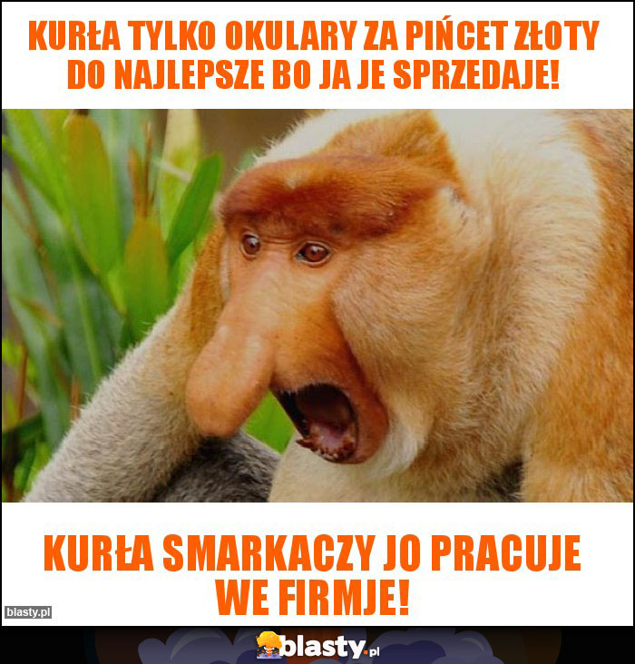 Kurła tylko okulary za pińcet złoty do najlepsze bo ja je sprzedaje! Kurła tylko okulary za pińcet złoty do najlepsze bo ja je sprzedaje!