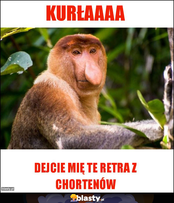 KURŁAAAA