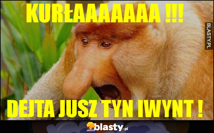 KURŁAAAAAAA !!! KURŁAAAAAAA !!!