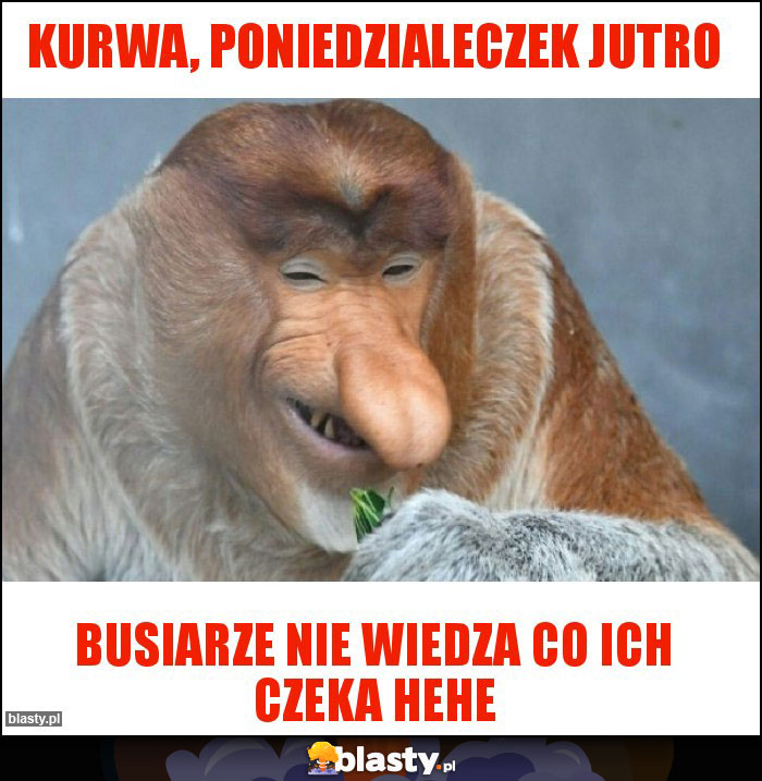 KURWA, PONIEDZIALECZEK JUTRO KURWA, PONIEDZIALECZEK JUTRO