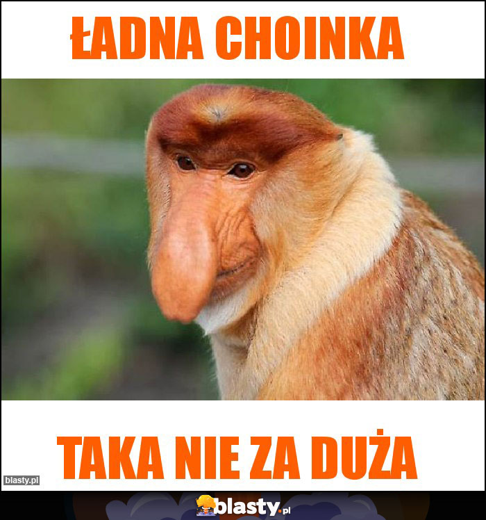 Ładna choinka Ładna choinka