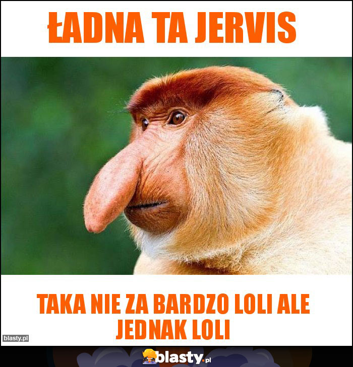 Ładna ta Jervis Ładna ta Jervis
