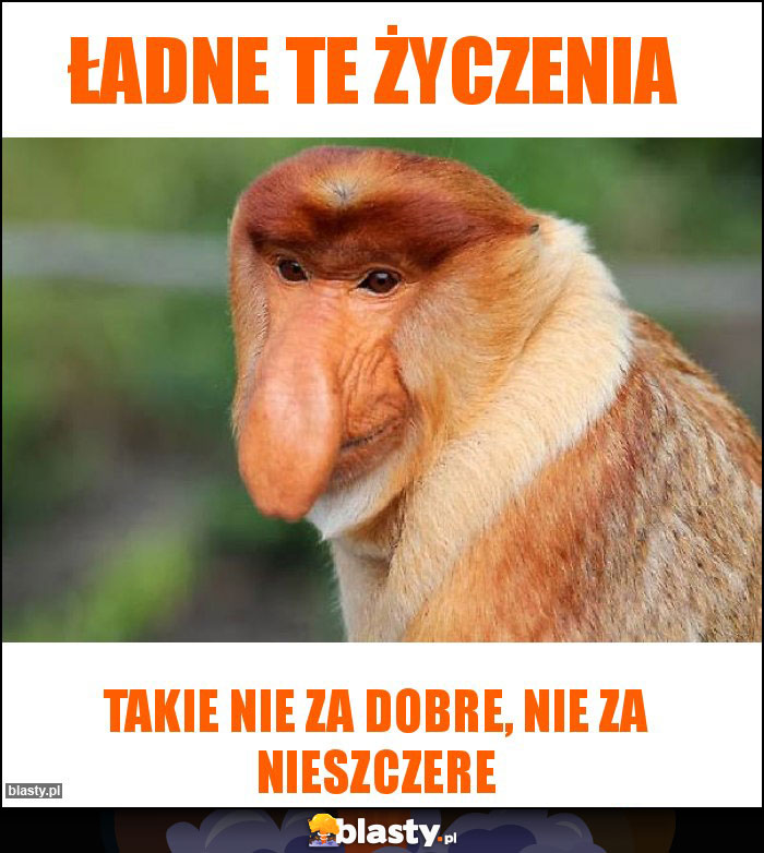 Ładne te życzenia Ładne te życzenia