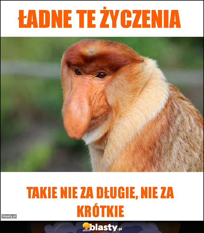 Ładne te życzenia Ładne te życzenia
