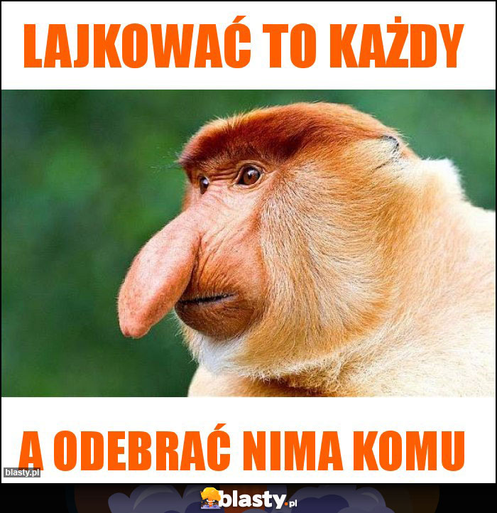 Lajkować to każdy Lajkować to każdy