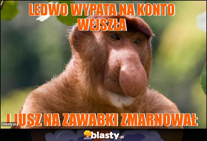 LEDWO WYPATA NA KONTO WEJSZŁA LEDWO WYPATA NA KONTO WEJSZŁA