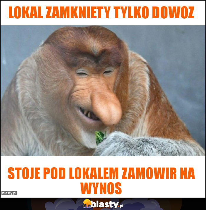 Lokal zamkniety tylko dowoz
