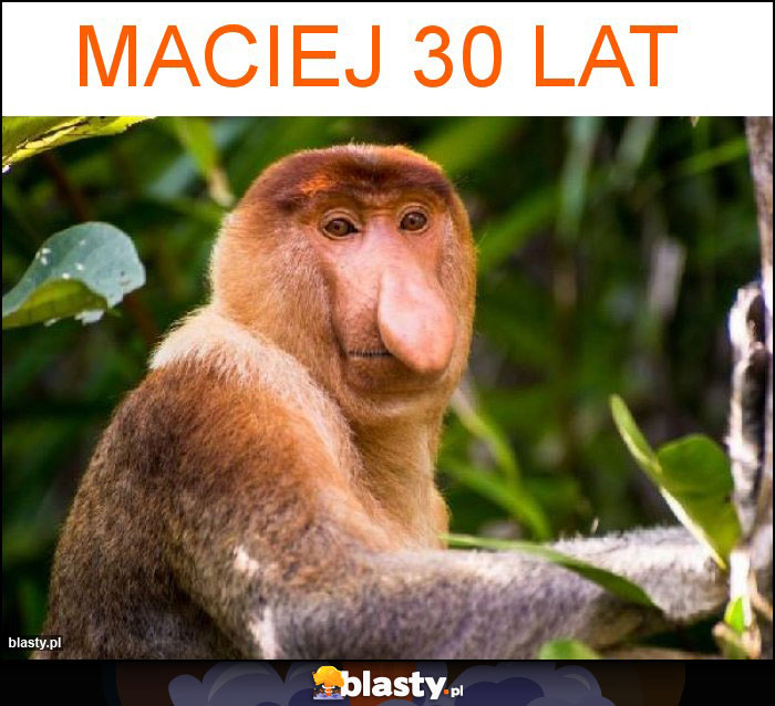 Maciej 30 lat Maciej 30 lat